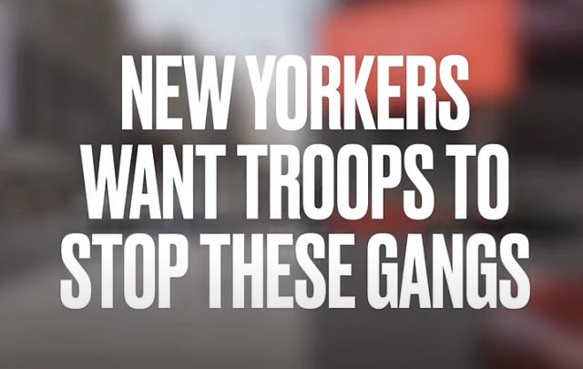 NYC Shelters Gang Members in the Same Locations Evicting 30,000 Families (Video)