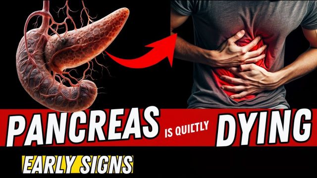 Pancreatic SOS: Early Warning Signs You Can’t Ignore + This Superfood Saves Your Pancreas!”