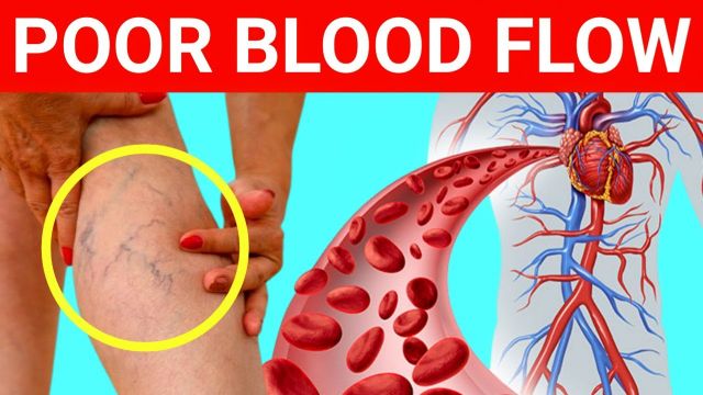 “Drink These 5 Beverages NOW to Instantly Boost Blood Flow & Fix Poor Circulation—Don’t Miss This!”